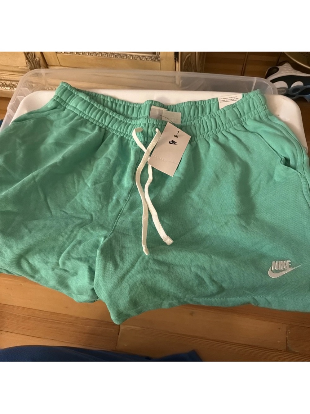 Nike Men’s Mint Green Athletic Shorts with White Drawstring
